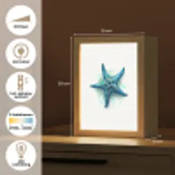 Zeester - Blauw - Spetters Light Box met kabel klein -USP_NL