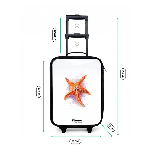 Oranje Zeester Illustratie Kinderkoffer - Zwart klein -productfoto_formaten