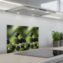 Bramen - Bladeren - Tros keuken achterwand spatscherm klein 900 -3d_schuin