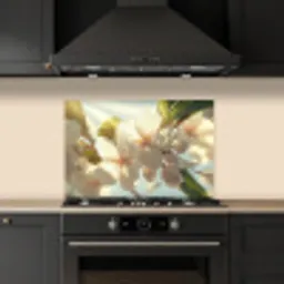 Bloesems - Wit - Zonnestralen -  Bloemblaadjes keuken achterwand spatscherm klein -sfeer1