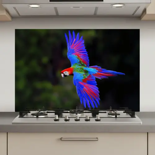 Felgekleurd - Papegaai - Bos - Vleugels keuken achterwand spatscherm klein -3d_website