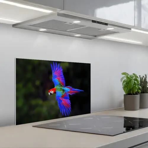 Felgekleurd - Papegaai - Bos - Vleugels keuken achterwand spatscherm klein -3d_schuin
