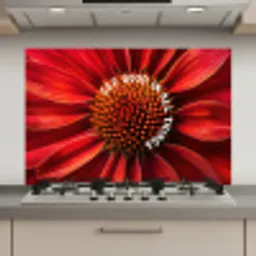 Close up - Bloem - Quote - Rood keuken achterwand spatscherm klein -3d_website