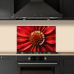 Close up - Bloem - Quote - Rood keuken achterwand spatscherm klein -sfeer1