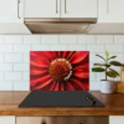 Close up - Bloem - Quote - Rood keuken achterwand spatscherm klein -sfeer2