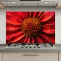 Close up - Bloem- Rood keuken achterwand spatscherm klein -3d_website