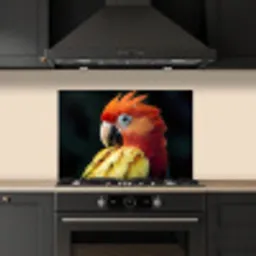 Close-up - Papegaai - Veren - Oranje keuken achterwand spatscherm klein -sfeer1