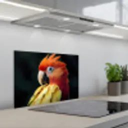 Close-up - Papegaai - Veren - Oranje keuken achterwand spatscherm klein -3d_schuin