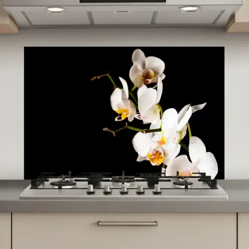 Contrastrijke Orchideeën keuken achterwand spatscherm klein -3d_website