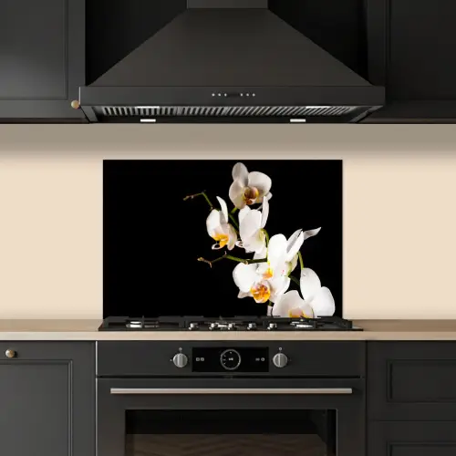 Contrastrijke Orchideeën keuken achterwand spatscherm klein -sfeer1