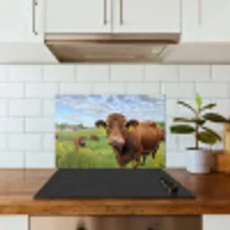 Koe - Weide - Bloemen keuken achterwand spatscherm klein -sfeer2