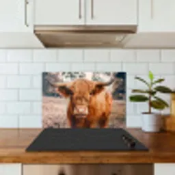 Koe- Schotse hooglander - Hoorns - Bruin - Landschap keuken achterwand spatscherm klein -sfeer2