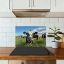 Koe - Tong - Weide keuken achterwand spatscherm klein -sfeer2