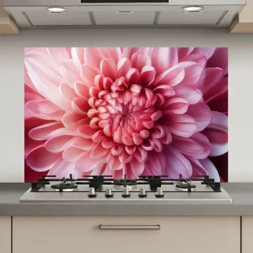 Dahlia - Bloem - Close up - Roze keuken achterwand spatscherm klein -3d_website