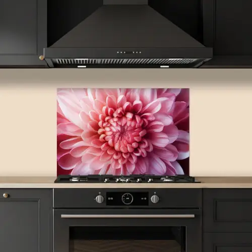 Dahlia - Bloem - Close up - Roze keuken achterwand spatscherm klein -sfeer1