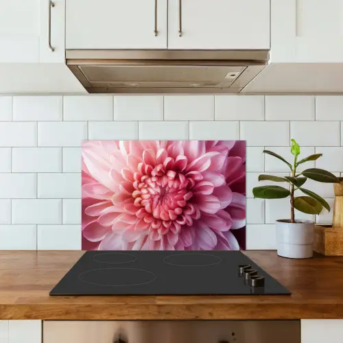 Dahlia - Bloem - Close up - Roze keuken achterwand spatscherm klein -sfeer2