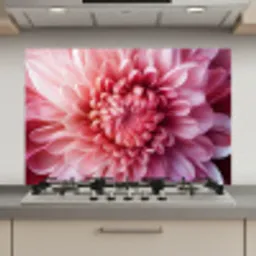 Dahlia - Bloem - Close up - Roze keuken achterwand spatscherm klein -3d_website
