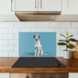 Dalmatiër - Zonnebril - Blauw keuken achterwand spatscherm klein -sfeer2