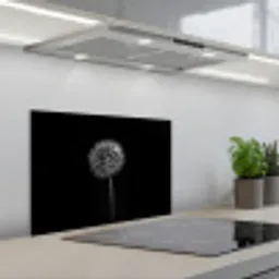 Paardenbloem - Zwart - Bloemen - Botanisch keuken achterwand spatscherm klein -3d_schuin