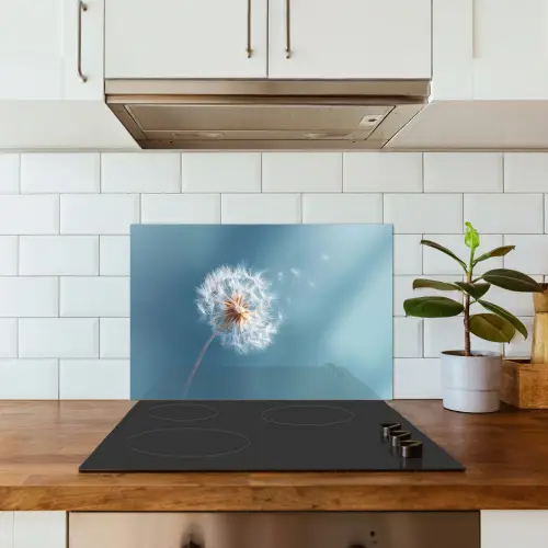 Paardenbloem - Wind - Blauw keuken achterwand spatscherm klein -sfeer2