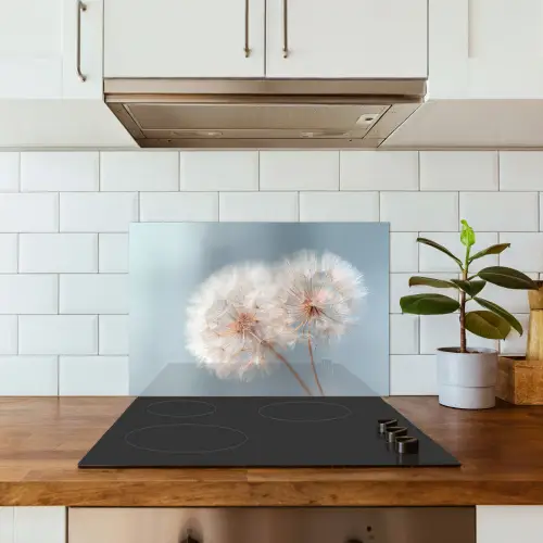 Paardenbloemen - Pluisjes - Wit keuken achterwand spatscherm klein -sfeer2