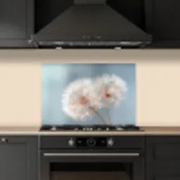 Paardenbloemen - Pluisjes - Wit keuken achterwand spatscherm klein -sfeer1
