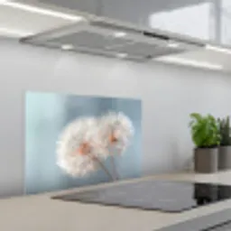 Paardenbloemen - Pluisjes - Wit keuken achterwand spatscherm klein -3d_schuin