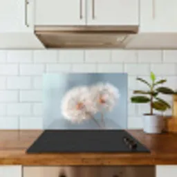 Paardenbloemen - Pluisjes - Wit keuken achterwand spatscherm klein -sfeer2