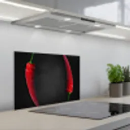 Dialoog van Pepers keuken achterwand spatscherm klein -3d_schuin