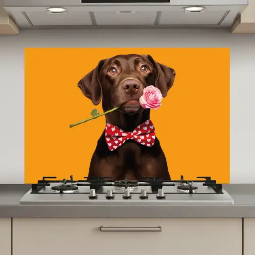 Hond - Oranje - Roos - Valentijn keuken achterwand spatscherm klein -3d_website