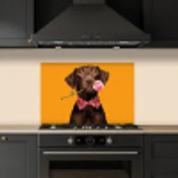 Hond - Oranje - Roos - Valentijn keuken achterwand spatscherm klein -sfeer1