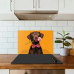 Hond - Oranje - Roos - Valentijn keuken achterwand spatscherm klein -sfeer2