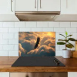 Adelaar - Wolken - Zon keuken achterwand spatscherm klein -sfeer2