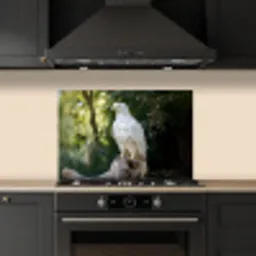 Arend - Hout - Wit - Planten keuken achterwand spatscherm klein -sfeer1