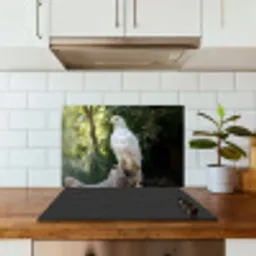Arend - Hout - Wit - Planten keuken achterwand spatscherm klein -sfeer2