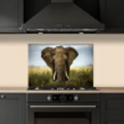 Olifant - Natuur - Gras - Dieren - Landschap keuken achterwand spatscherm klein -sfeer1