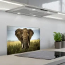 Olifant - Natuur - Gras - Dieren - Landschap keuken achterwand spatscherm klein -3d_schuin