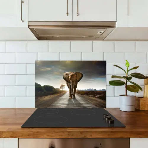 Olifant - Weg - Dieren - Zonsondergang - Landschap keuken achterwand spatscherm klein -sfeer2