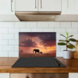 Olifanten - Grasland - Zonsondergang keuken achterwand spatscherm klein -sfeer2