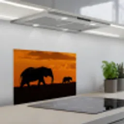 Olifanten - Savanne - Zonsondergang keuken achterwand spatscherm klein -3d_schuin