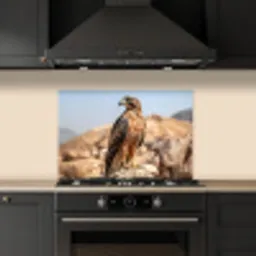 Valk - Vogel - Rots - Macht keuken achterwand spatscherm klein -sfeer1