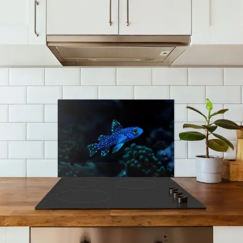Vis - Stippen - Koraal - Blauw keuken achterwand spatscherm klein -sfeer2
