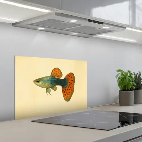 Vis - illustratie - Stippen - Oranje keuken achterwand spatscherm klein -3d_schuin