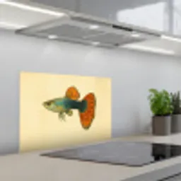 Vis - illustratie - Stippen - Oranje keuken achterwand spatscherm klein -3d_schuin