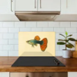Vis - illustratie - Stippen - Oranje keuken achterwand spatscherm klein -sfeer2