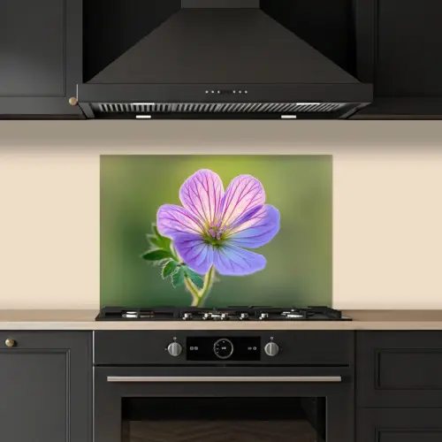 Bloem - Close up - Paars keuken achterwand spatscherm klein -sfeer1