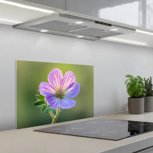 Bloem - Close up - Paars keuken achterwand spatscherm klein -3d_schuin