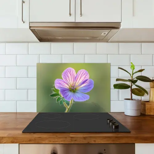 Bloem - Close up - Paars keuken achterwand spatscherm klein -sfeer2