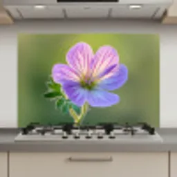 Bloem - Close up - Paars keuken achterwand spatscherm klein -3d_website