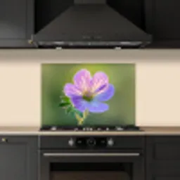 Bloem - Close up - Paars keuken achterwand spatscherm klein -sfeer1